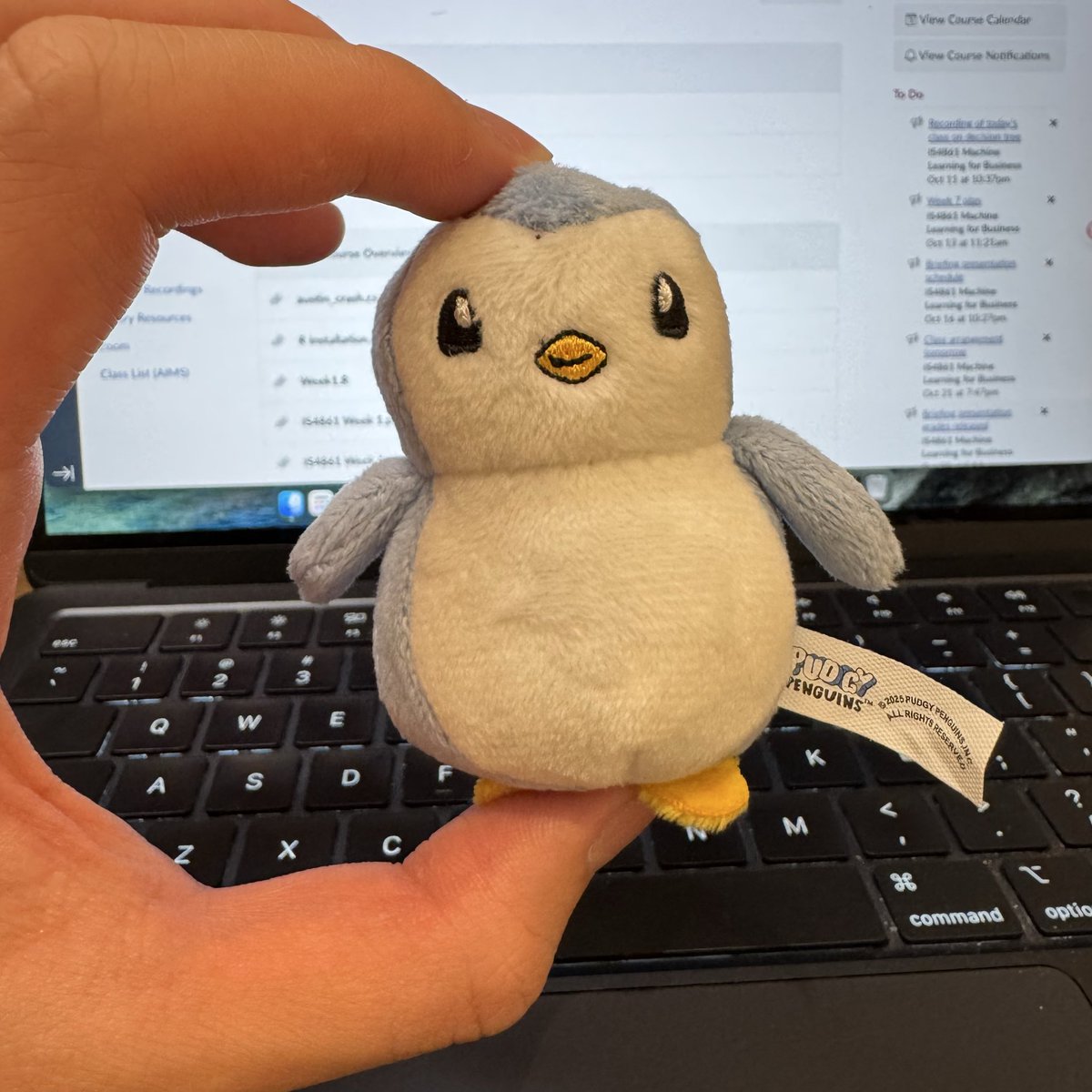 0xBolin|𝟎𝐱𝐔 (@0xbolin123) on Twitter photo 明天我还去胖企鹅杭州!
有人一起来面基嘛
@PudgyPenguins <a href="/PenguAsia/">PENGU Asia</a> <a href="/PudgyPenguinsCN/">PudgyPenguinsCN</a> 明天我还去胖企鹅杭州!
有人一起来面基嘛
@PudgyPenguins <a href="/PenguAsia/">PENGU Asia</a> <a href="/PudgyPenguinsCN/">PudgyPenguinsCN</a>