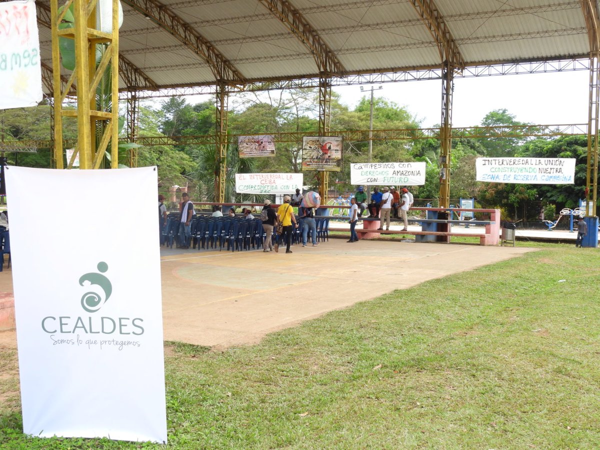 Cealdes - Centro de Alternativas al Desarrollo tweet media