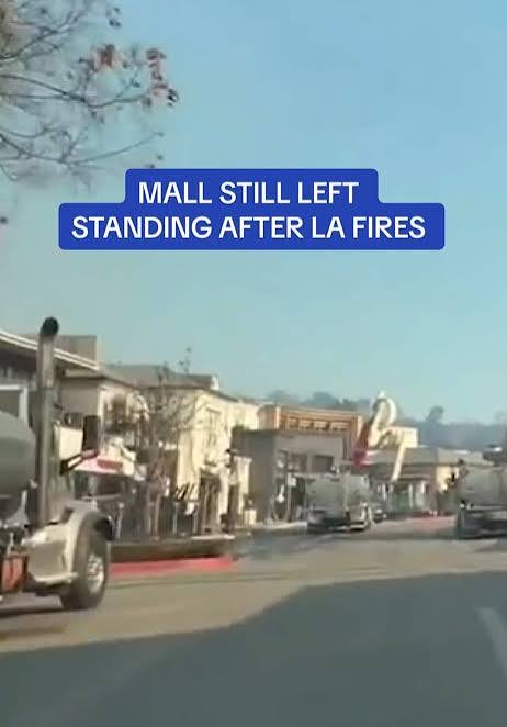 Houman David Hemmati, MD, PhD tweet media