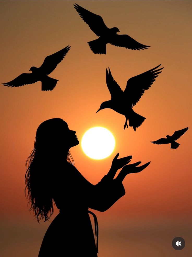 أجمل لحظات اليوم لما تغيب الشمس وتخلي الدنيا بلون ذهب دافي

#مساء_الخیر #العراق