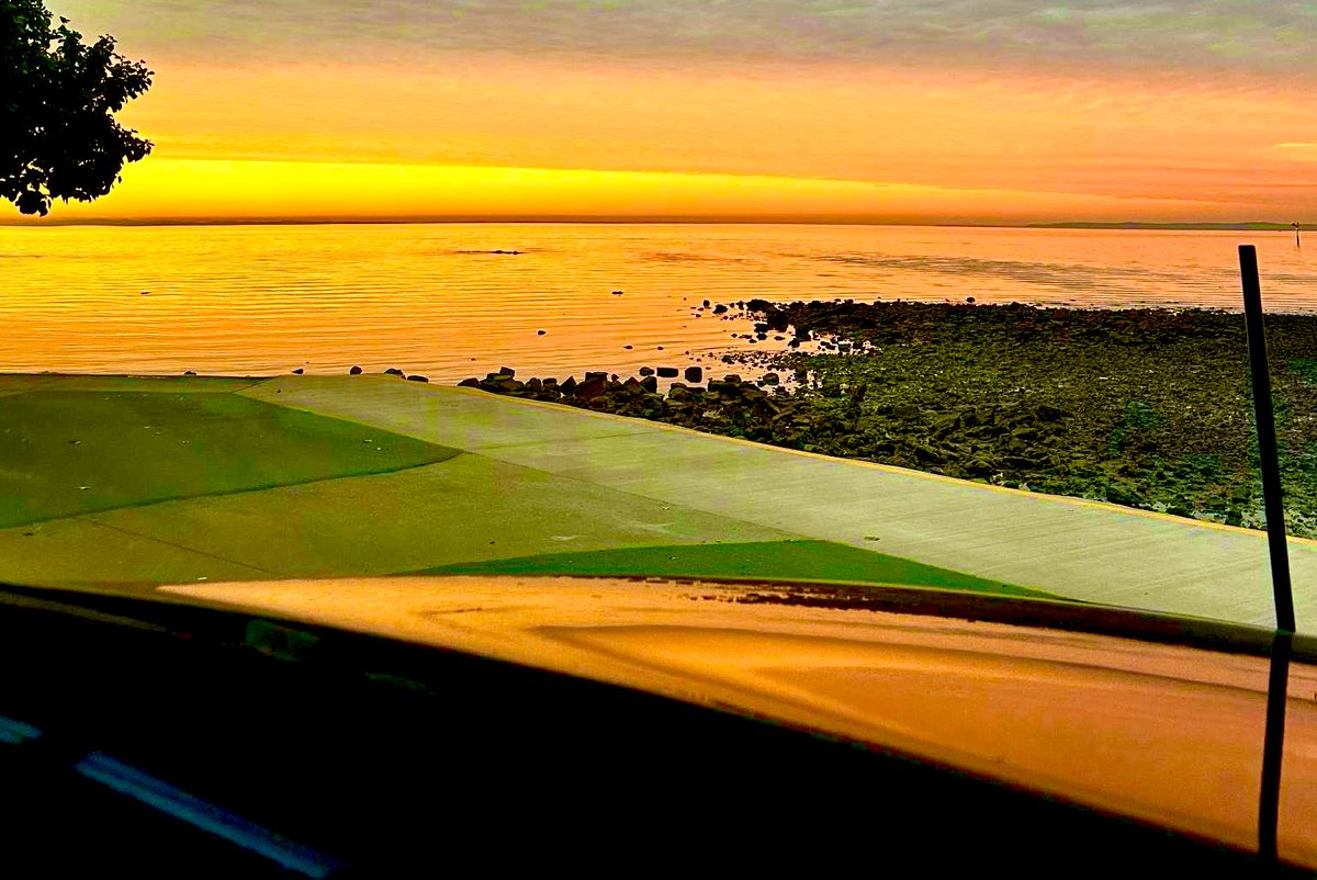 April 🌸 tweet media