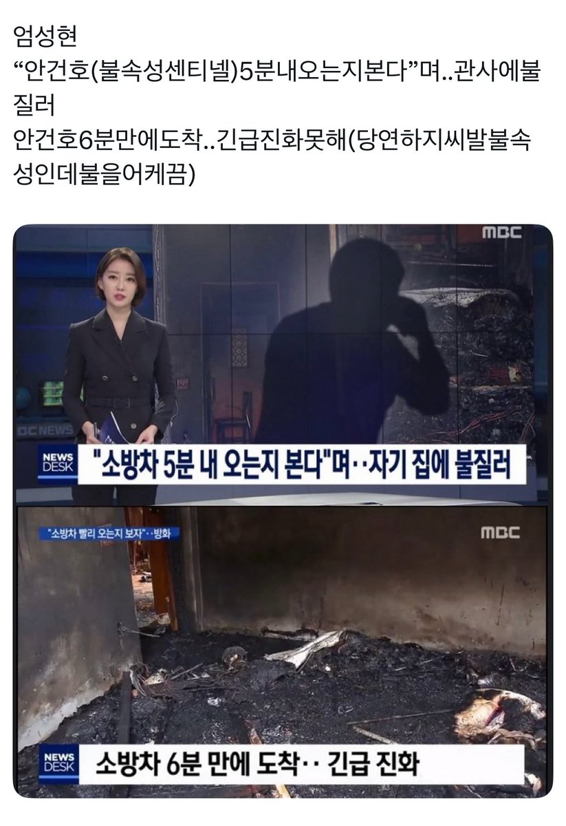 쉽허드 tweet media