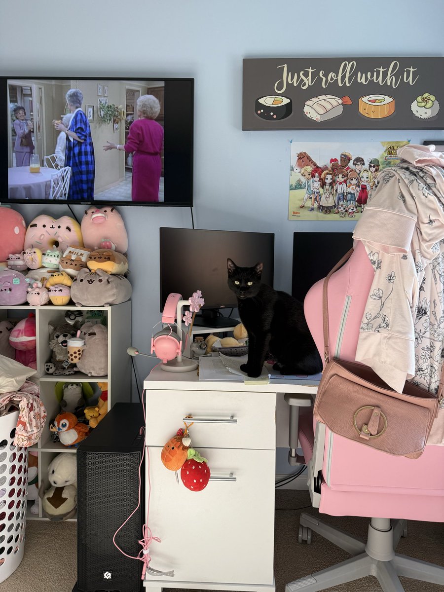 mokarichu's tweet image. Welcome home, little Winnie. 🩷