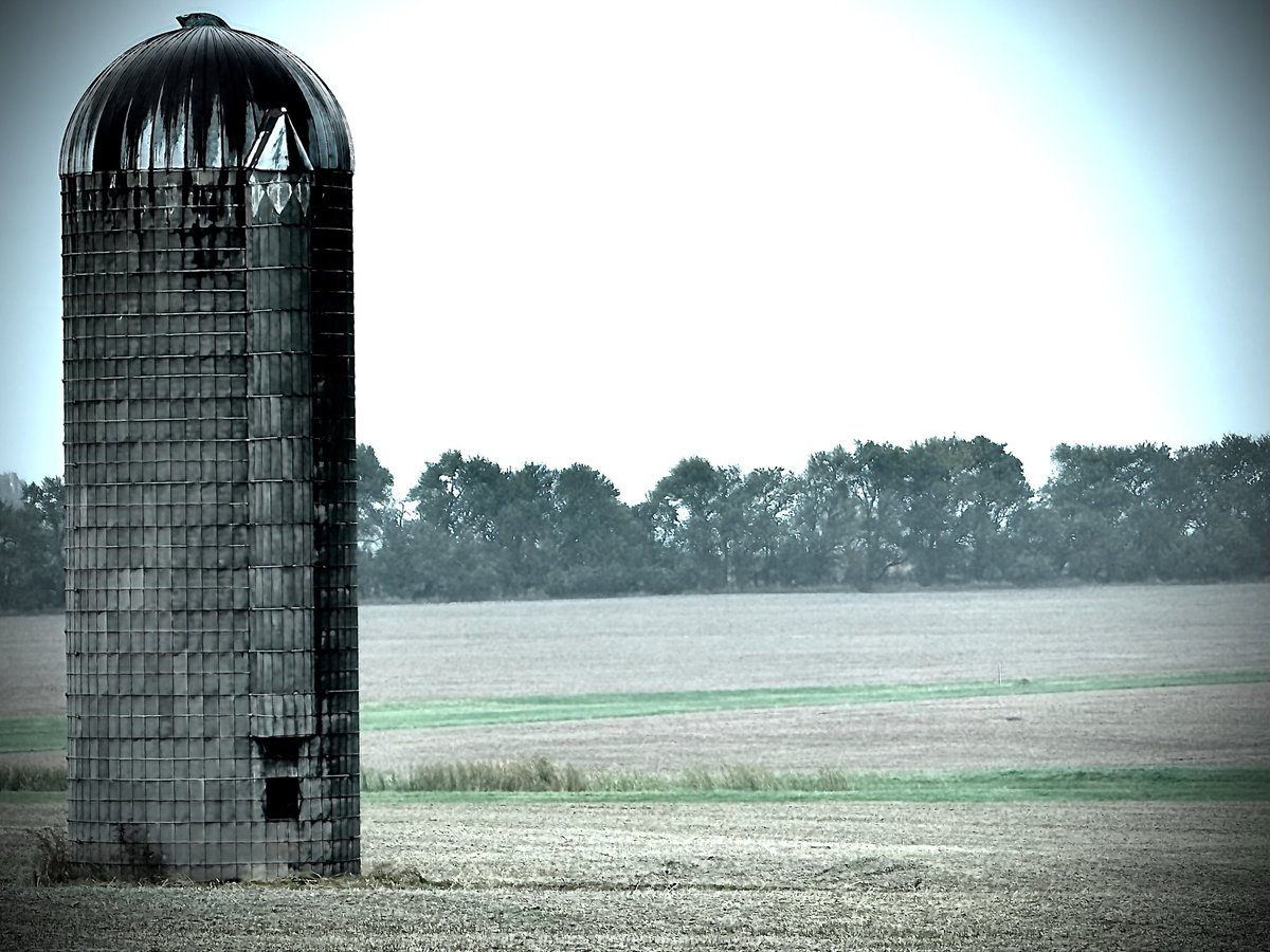 TLPDocumentary's tweet image. finally water
drops with the leaves and the chaff
to cover the land
#haiku #Documentary #indiefilm #smalltown #harvest