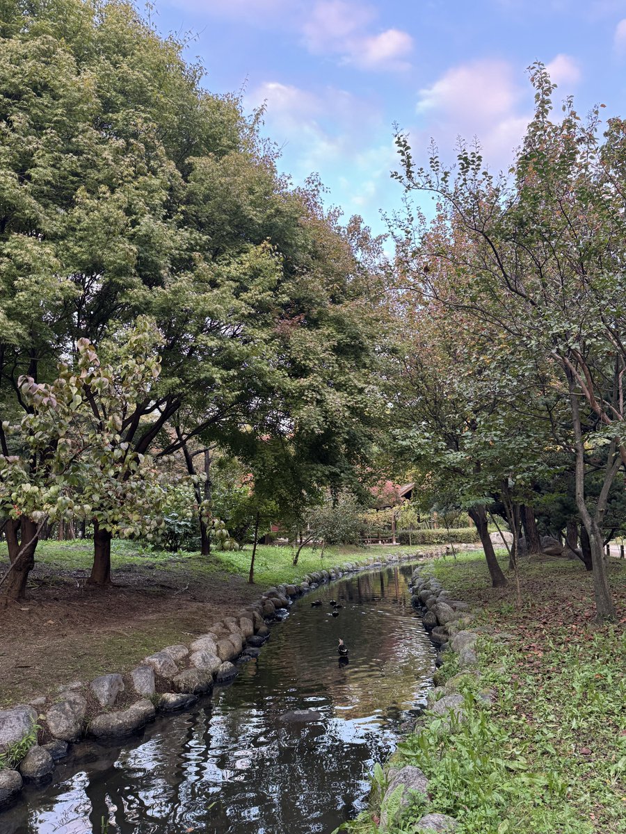 근황: 대전옴 
더 늦기 전에 한밭수목원가서 가을하늘을 만끽해야돼
구름이 어떻게 솜사탕색 .. 🥹