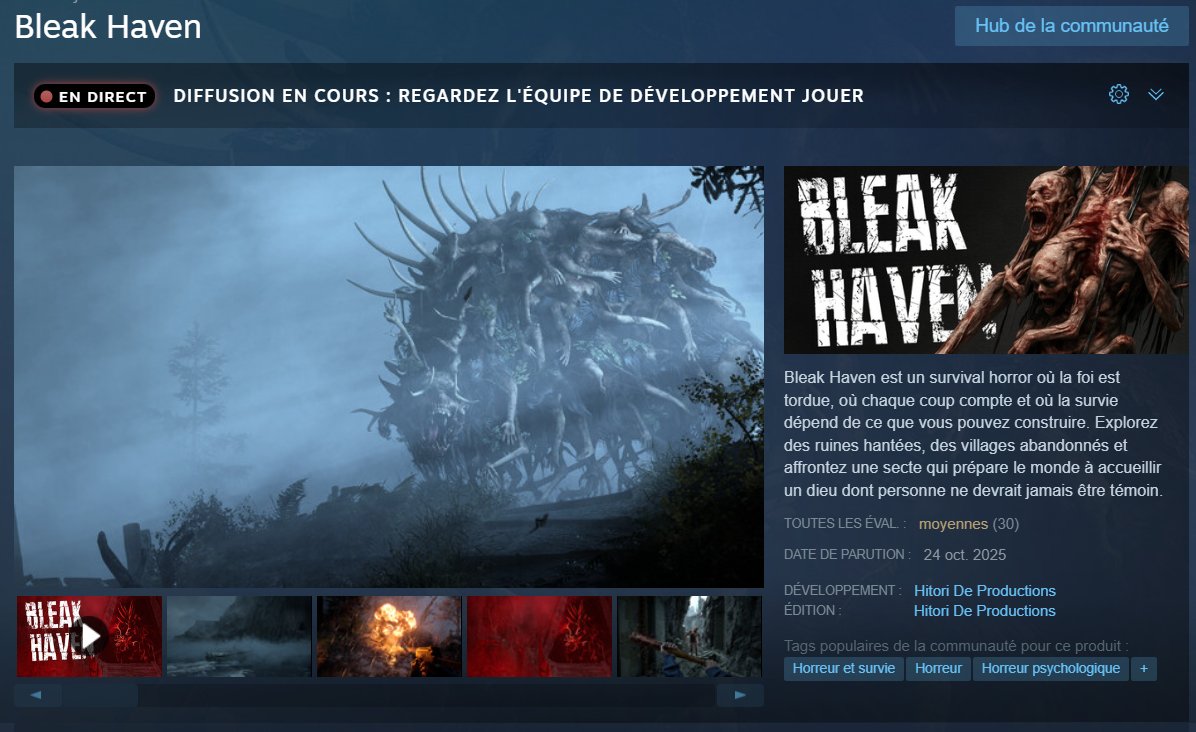 deadzach44's tweet image. J&apos;ai reçu le jeu gratuitement et je dois en parler : 

N&apos;achetez pas le jeu il pue la merde, full IA, hyper cher, que des assets gratuits de l&apos;épic game store, aucune créativité, gameplay à chier. Voilà 👍