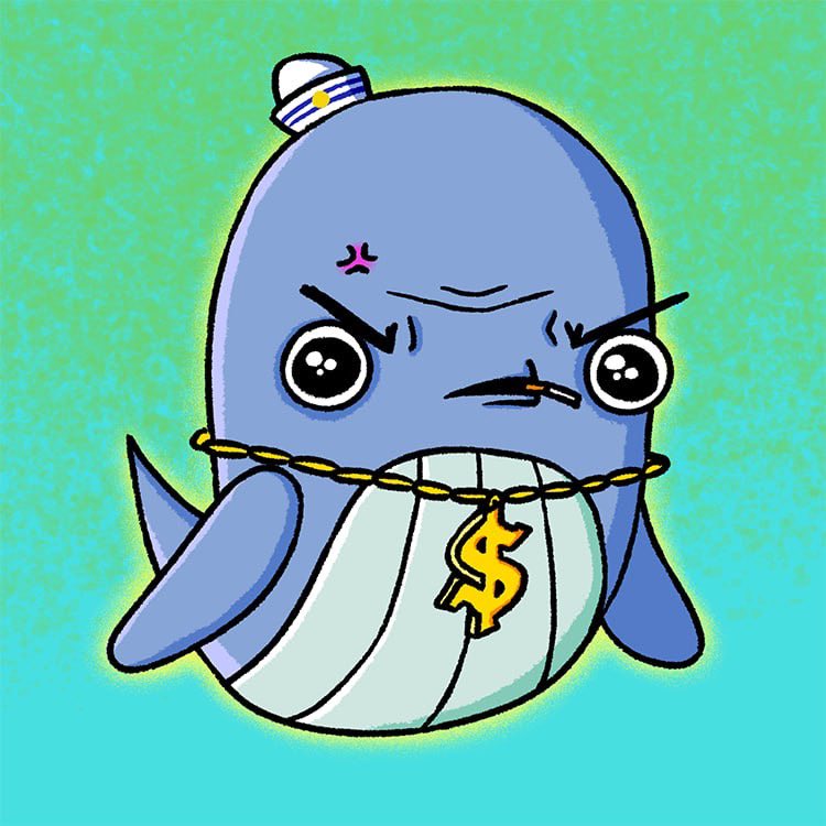 HodlerNick13 (@dutchdegencro) on Twitter photo 