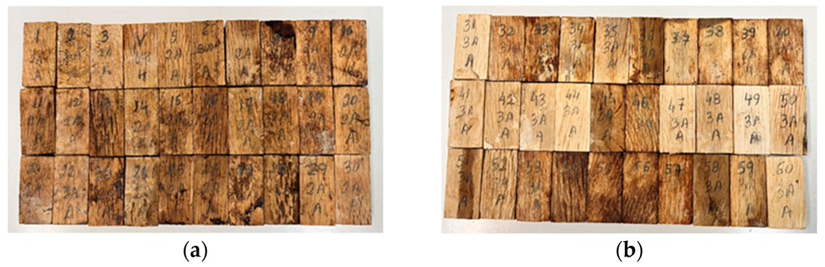 Naturaleza Castilla y León tweet media