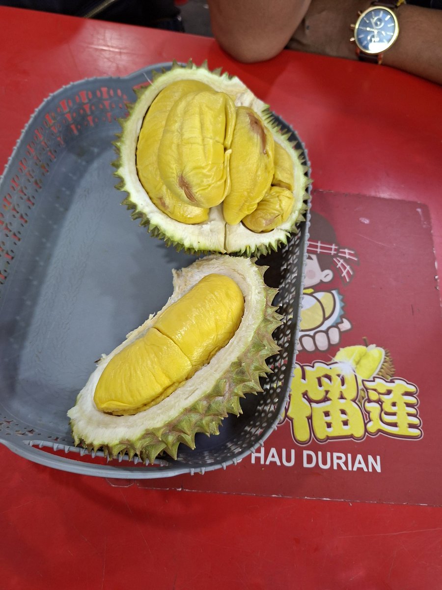 Penutup hari ini 😚