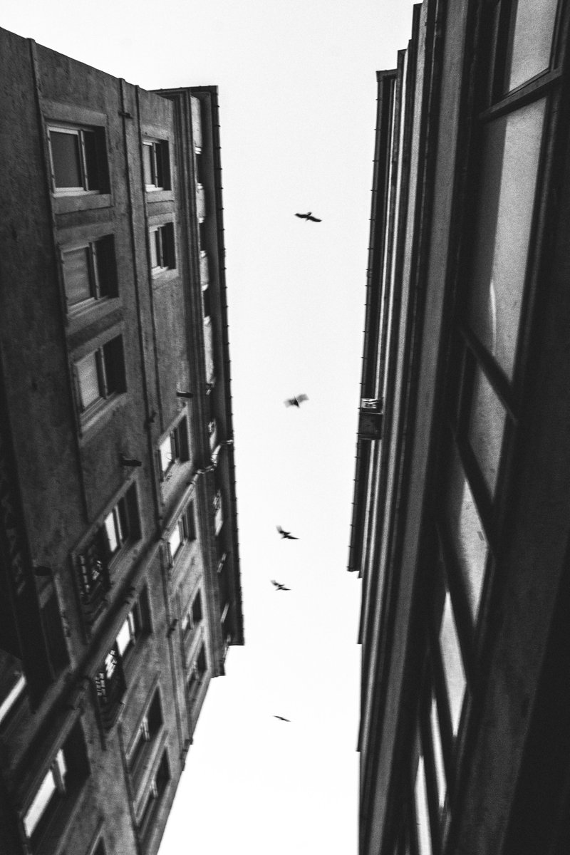 afrnsude's tweet image. ...some days, our conversations are in black and white 🖤🤍