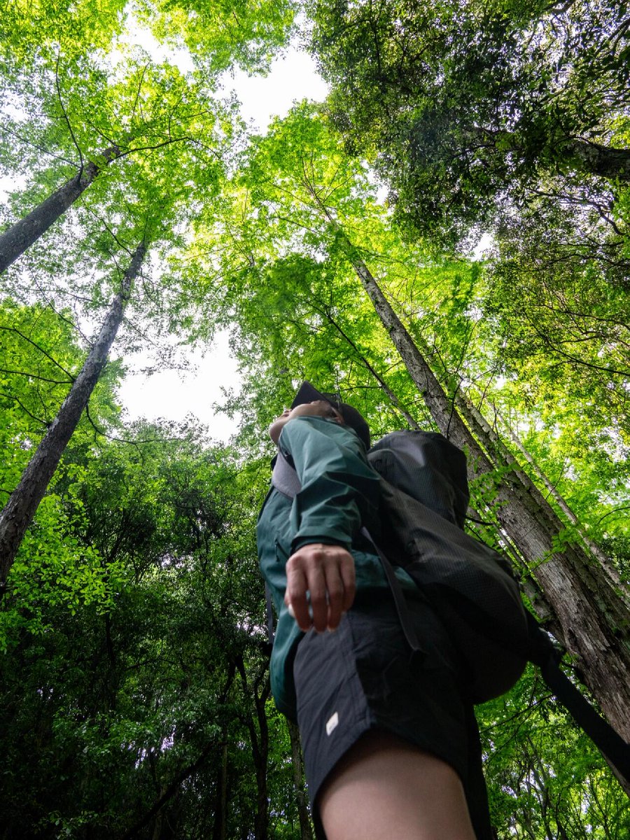 badabelle14170's tweet photo. Winter hasn’t even arrived, and I’m already missing those spring hikes. 🌲🏞️ Can’t wait for the fresh air and mountain trails to return. Every step is a step closer to spring. 💚

#SpringHiking #naturelovers #MountainViews #HikingAdventures #GetOutside https://t.co/h9BMqswbhP