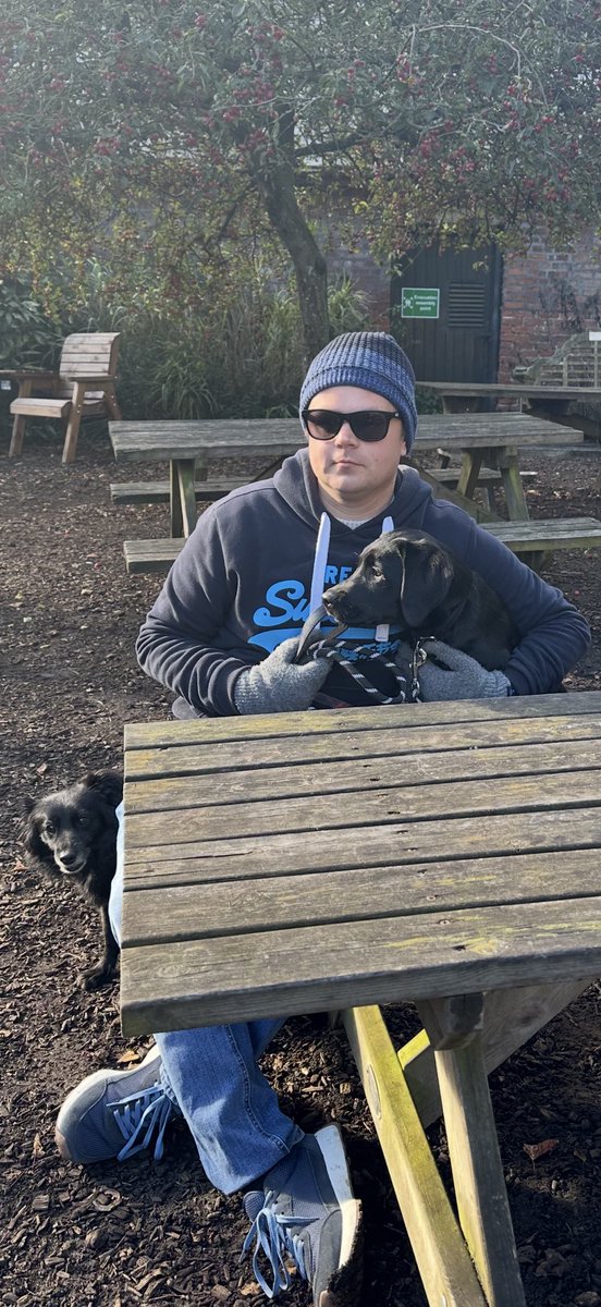 SamSmith_1987's tweet image. Weekend puppy antics 🐾

#Sheltie #BlackLab #GermanSheperd