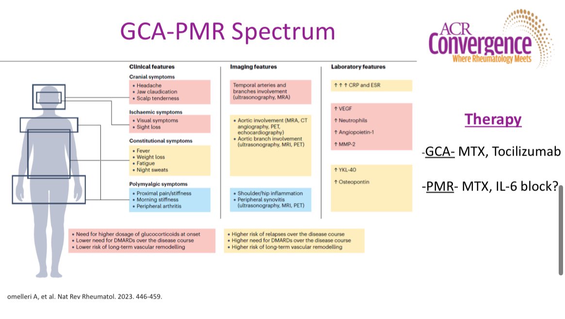 RoxOsler's tweet photo. #ReviewCourse #ACR25 vasculitides &amp; CNS involvement
🔹 Takayasu,PAN &amp; ANCA-associated: CNS dysfunction rare but life-threatening.
🔹 GCA/PMR:overlapping inflammatory spectrum.
🔹 Behçet’s: parenchymal vs. cerebral venous thrombosis forms.
💊 Therapy: cyclophosphamide or TNF/IL-6 https://t.co/hmUtKq1Uxb