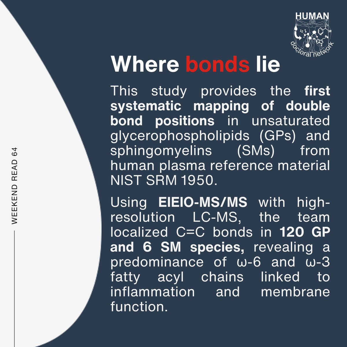 HUMAN Doctoral Network tweet media