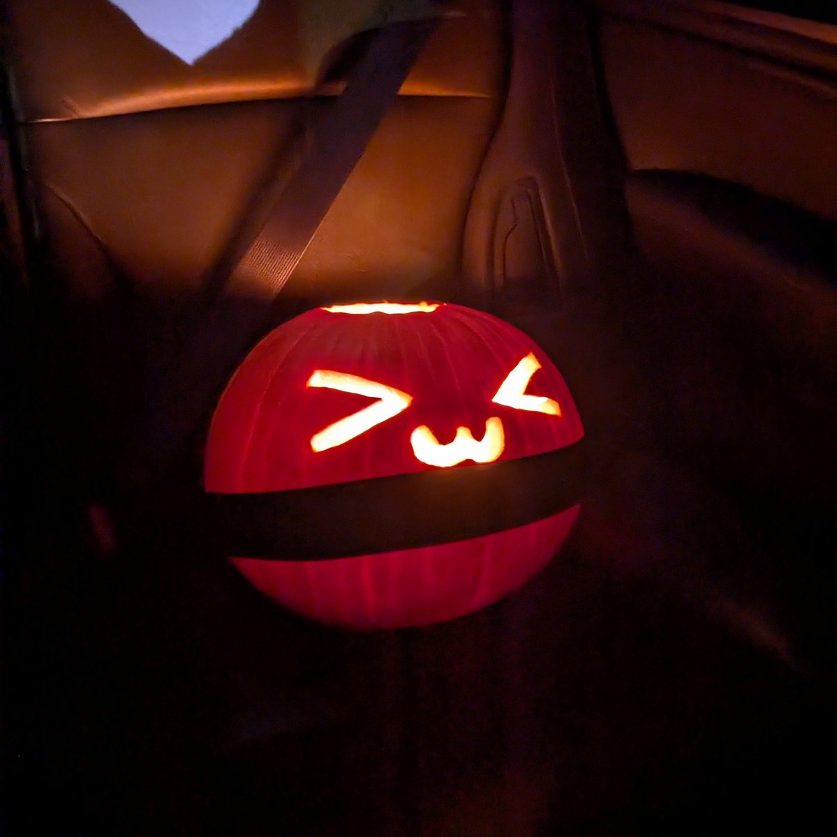 Lil guy is safely seatbelted for transportation