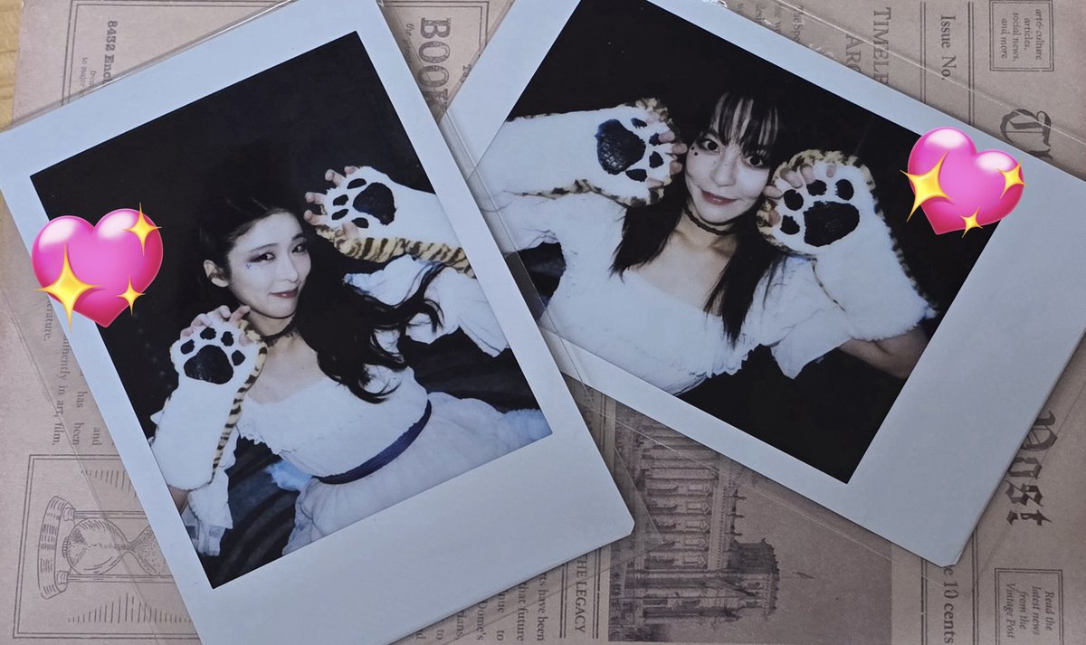 봐봐 세트폴라!