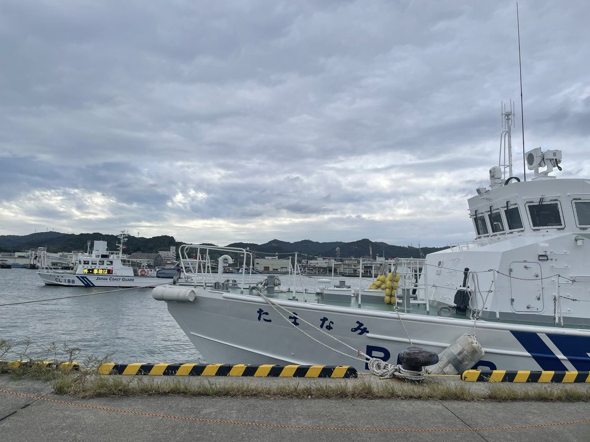 野生のうみまる on X