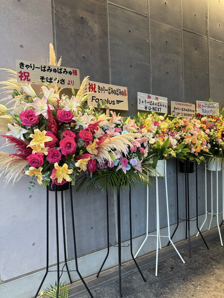 E3%81%8D%E3%82%83%E3%82%8A%E3%83%BC%E3%81%A1%E3%82%83%E3%82%93