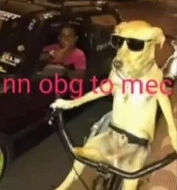 Imagens para usar de Sticker (@zapstickermeme) on Twitter photo 