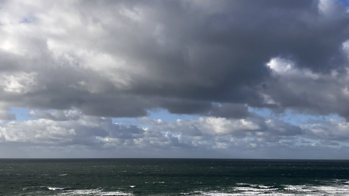 davidwbeothram's tweet image. This afternoon