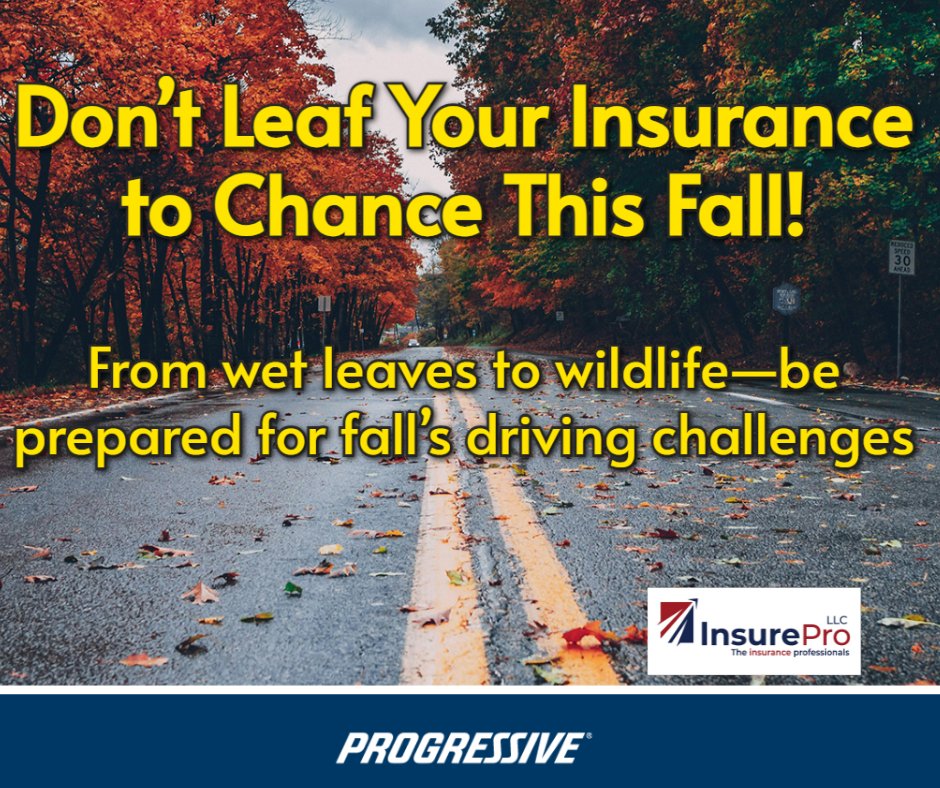 InsureProLLC's tweet image. 🍁 Fall is beautiful, but it can also be dangerous for drivers. Wet leaves, foggy mornings, and deer crossings are common this time of year. Make sure your auto insurance is ready to protect you. Let’s review your policy today!  #FallDriving #StayCovered ️