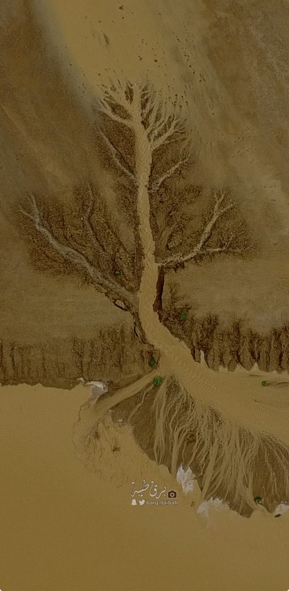 سبحان الله شجرة رسمتها سيول الامطار
#اجمل_شي_صورته 

تصوير جوي