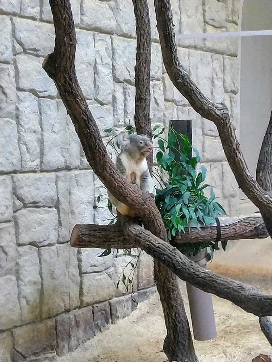 まちものがたり on X