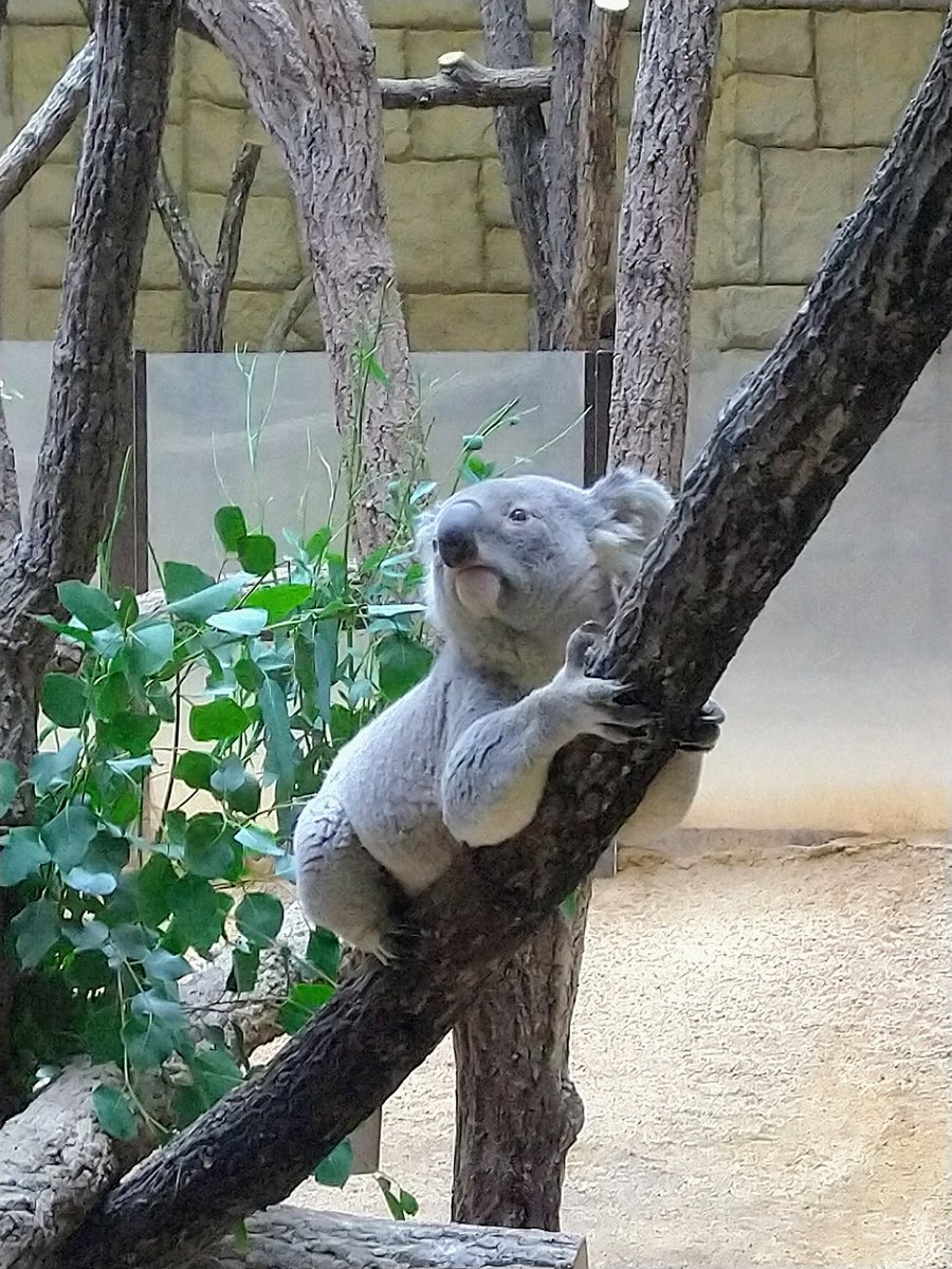 まちものがたり on X