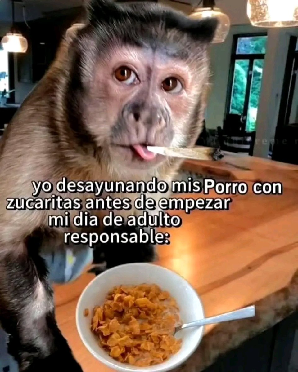 Ku$h Station (@kushstation1) on Twitter photo 