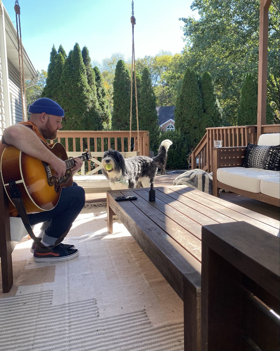 Tom Walker tweet media