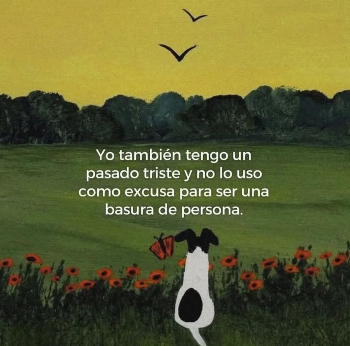 vibesfyp's tweet image. 