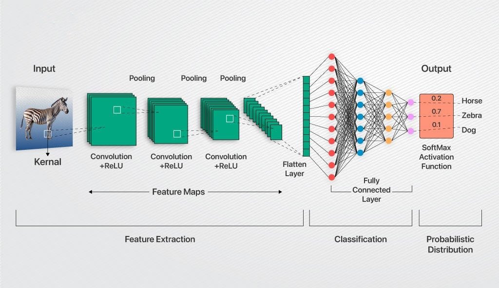 _tusharrathore's tweet image. This architecture represents how a Convolutional Neural Network (CNN) transforms raw images into intelligent predictions.
Through layers of Convolution, ReLU, Pooling, and Fully Connected Networks, it learns to see, understand, and classify — just like the human brain.