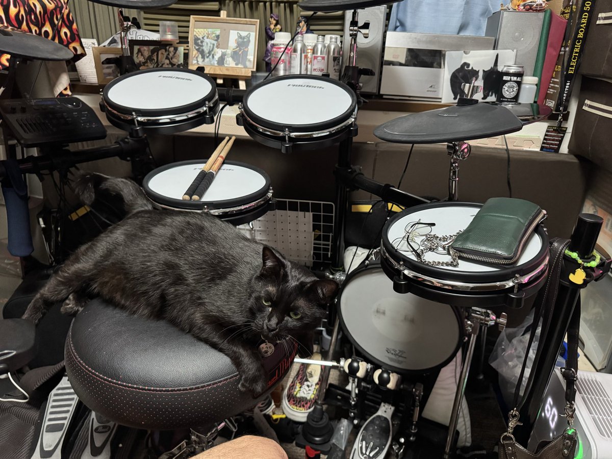 drums_showchan's tweet photo. 箸🥢が突然使えなくなるような、頭ではわかっているのに、どう動かしていたのかわからなくなるような、それがスランプの感覚。
ここ数年、ずっとドラムがそんな感じだったけど、この1ヶ月は非常に良い🥁
最近始めた練習方法が良いっぽい🙆
スランプ中に磨いてきた感覚も上乗せ💪
継続は力なりです🔥 https://t.co/cU6EwmF2Su