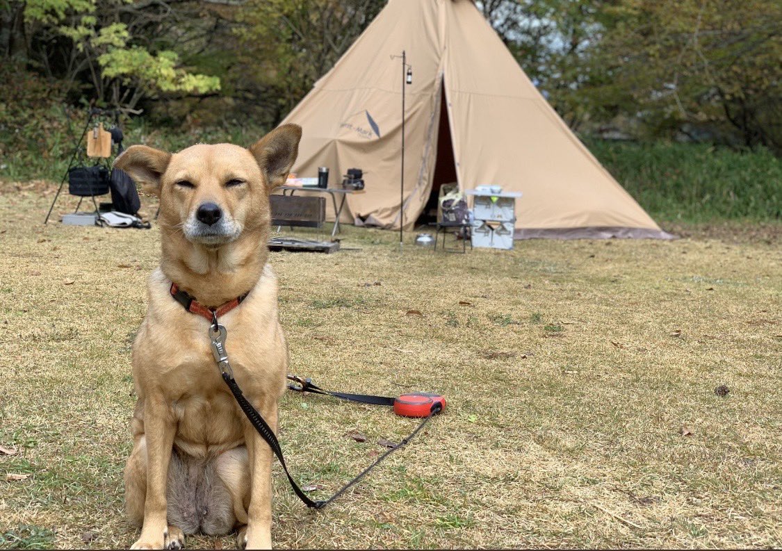 エリィ（感謝） エリィ (@erie_221) / Posts / X