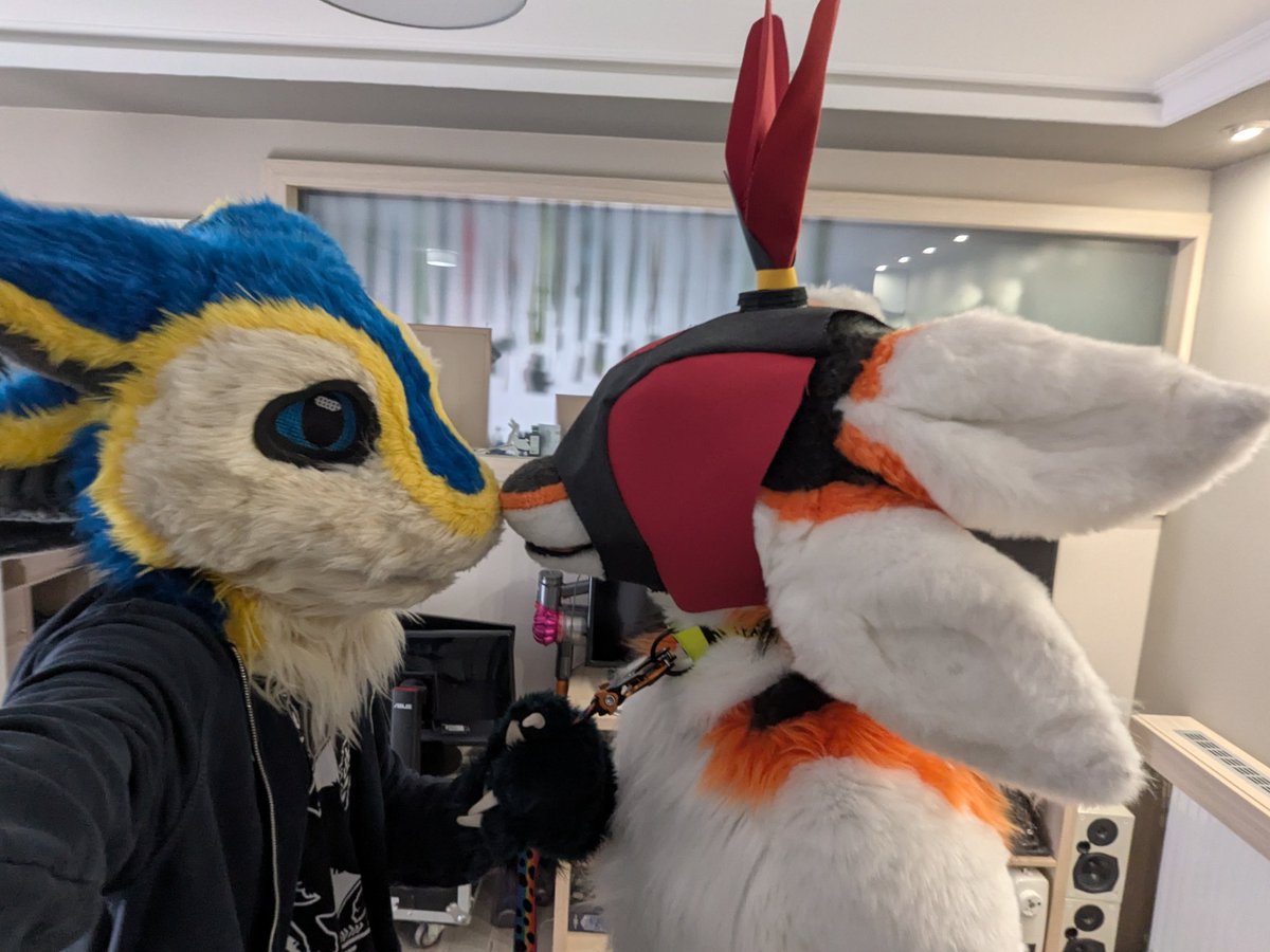 ๐DA_01raaaM (@ilava01raaam) on Twitter photo I heard when you put a falconry hood on a bird they let you do anything to them, so I had to try it with <a href="/definetlynot_AD/">Derp avawi</a>. It seems to work~ I heard when you put a falconry hood on a bird they let you do anything to them, so I had to try it with <a href="/definetlynot_AD/">Derp avawi</a>. It seems to work~