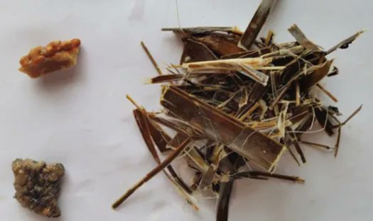 MarcGozlan's tweet image. Non, le persil - ni aucune autre herbe 🌿, plante🌱ou morceau de bois🪵- n’a rien à faire dans le #vagin !
Ces pratiques sont dangereuses. Mieux vaut consulter un gynécologue que son maraîcher.
👇
lemonde.fr/blog/realitesb… [Rediff]
#avortement #médecinealternative #médecinedouce