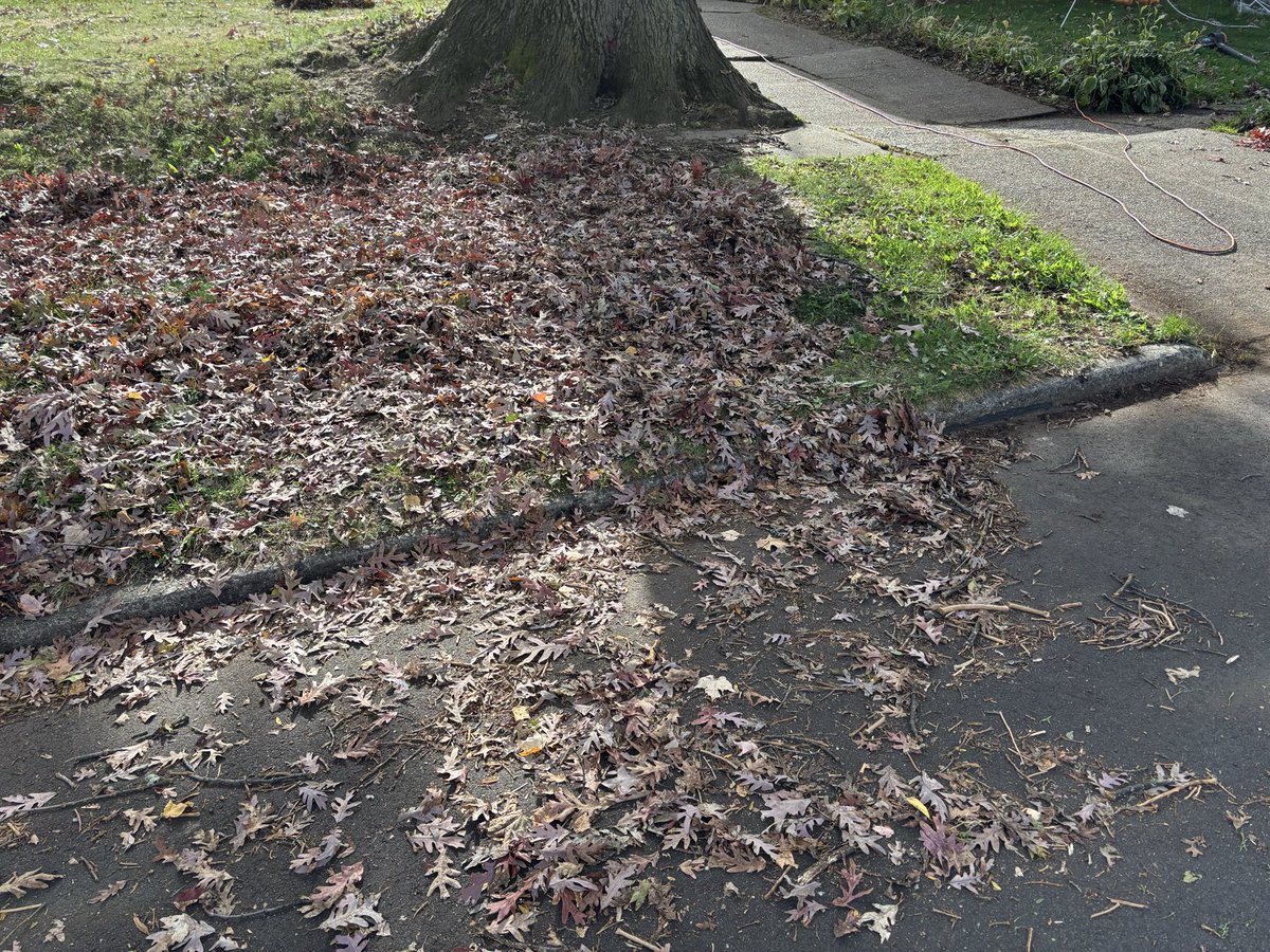 Roger1stCFalls's tweet photo. #DLake16
Going out blowing leaves
with his dude
They must have hot dates
Meanwhile…..
I should have just paid him
to do ours
I have an Oak that hasn’t
even started dropping them
Why am I out here????
I got the old school electric
1970 Craftsman blower
my uncle gave me 15yr ago
It blows like a hooker out
on Prospect Ave in the 70s
I use this over that battery
Milwaukee I use on the steps
