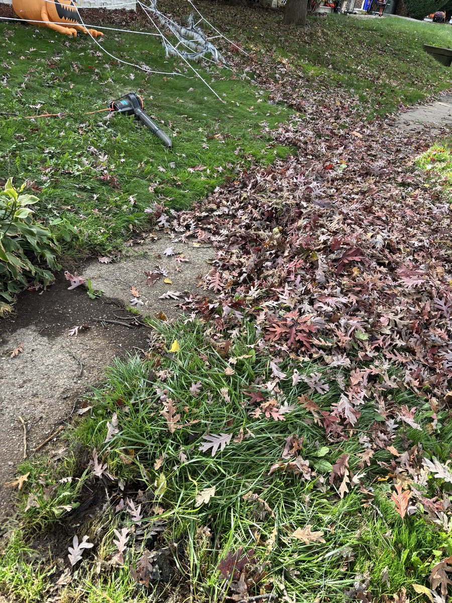 Roger1stCFalls's tweet photo. #DLake16
Going out blowing leaves
with his dude
They must have hot dates
Meanwhile…..
I should have just paid him
to do ours
I have an Oak that hasn’t
even started dropping them
Why am I out here????
I got the old school electric
1970 Craftsman blower
my uncle gave me 15yr ago
It blows like a hooker out
on Prospect Ave in the 70s
I use this over that battery
Milwaukee I use on the steps