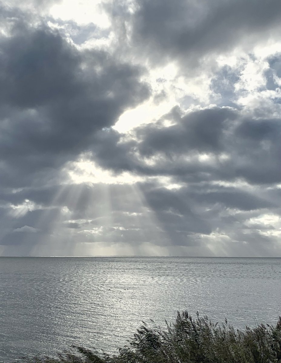 A sunray weaves through morning’s haze, Soft gold on grey, a tender blaze 🤍🩶