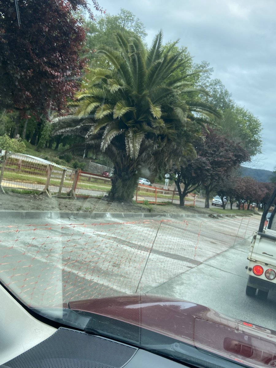 Qué pasa en calle Los Robles? Llevan meses de trabajo, muchos días sin movimiento. Ayer picaron algo recién pavimentado y se demoraron un día en volver a poner cemento.

Quien fiscaliza?

<a href="/munivaldivia/">MuniValdivia</a> 

#Valdiviacl