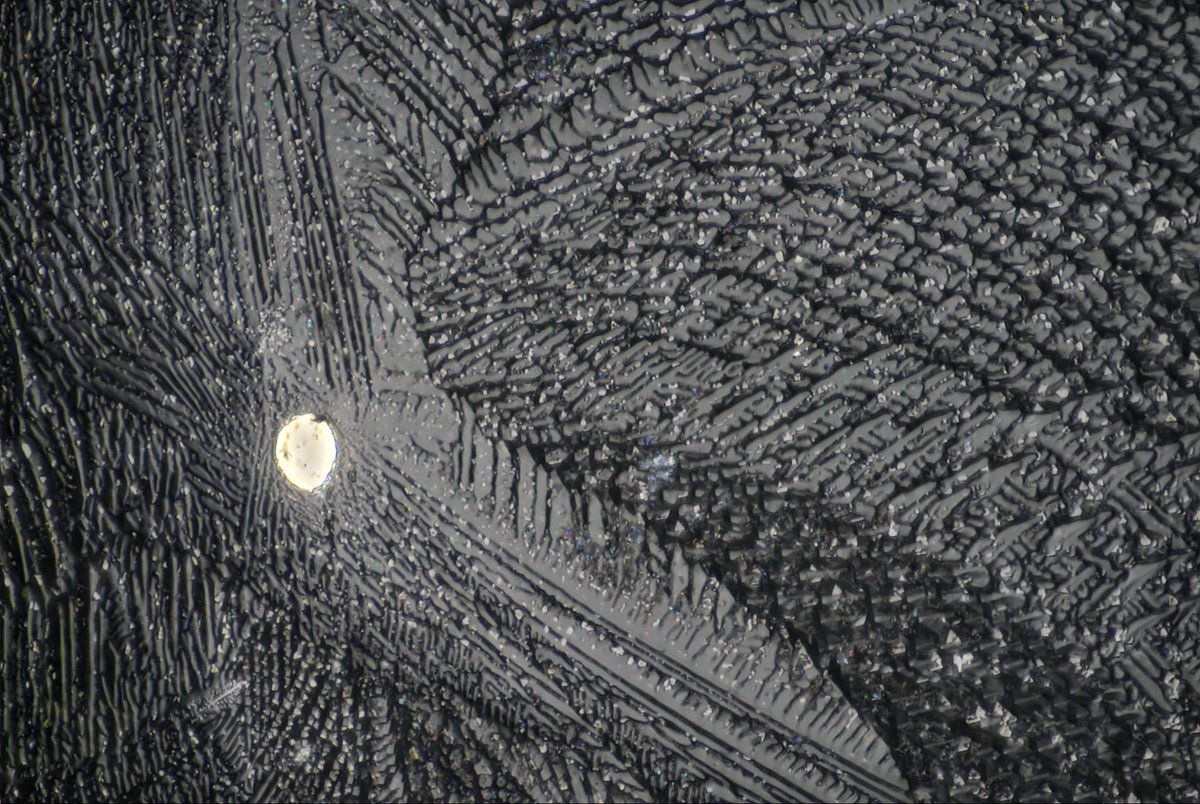 Scottmp123 tweet media