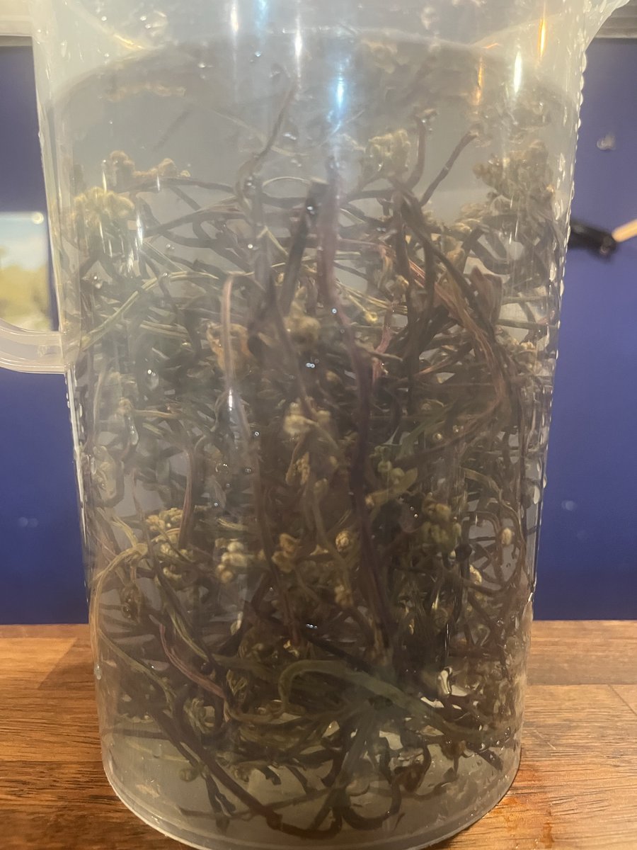 제주의고사리가 내일읗 기다리고 있습니다.