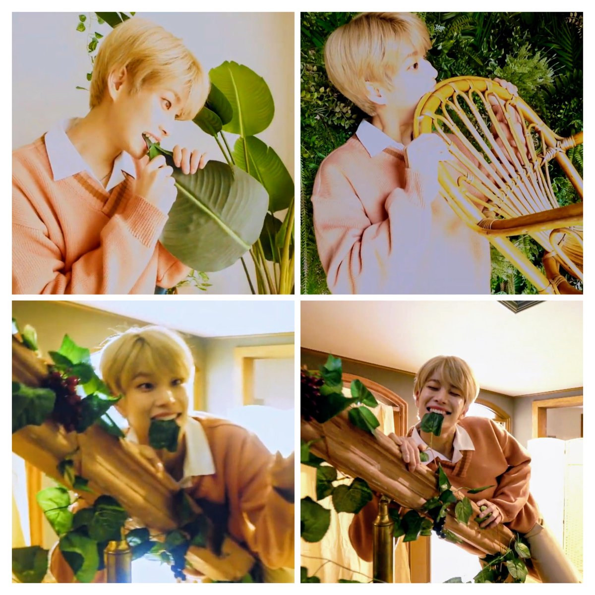 tana37dana's tweet photo. 今日は最終投票日♡
変わり種ダンス？を見て応援📣
下へ続く↓

I vote for #ASTRO on #2025MAMAVOTE
@MnetMAMA https://t.co/2zEFI6Ve1I