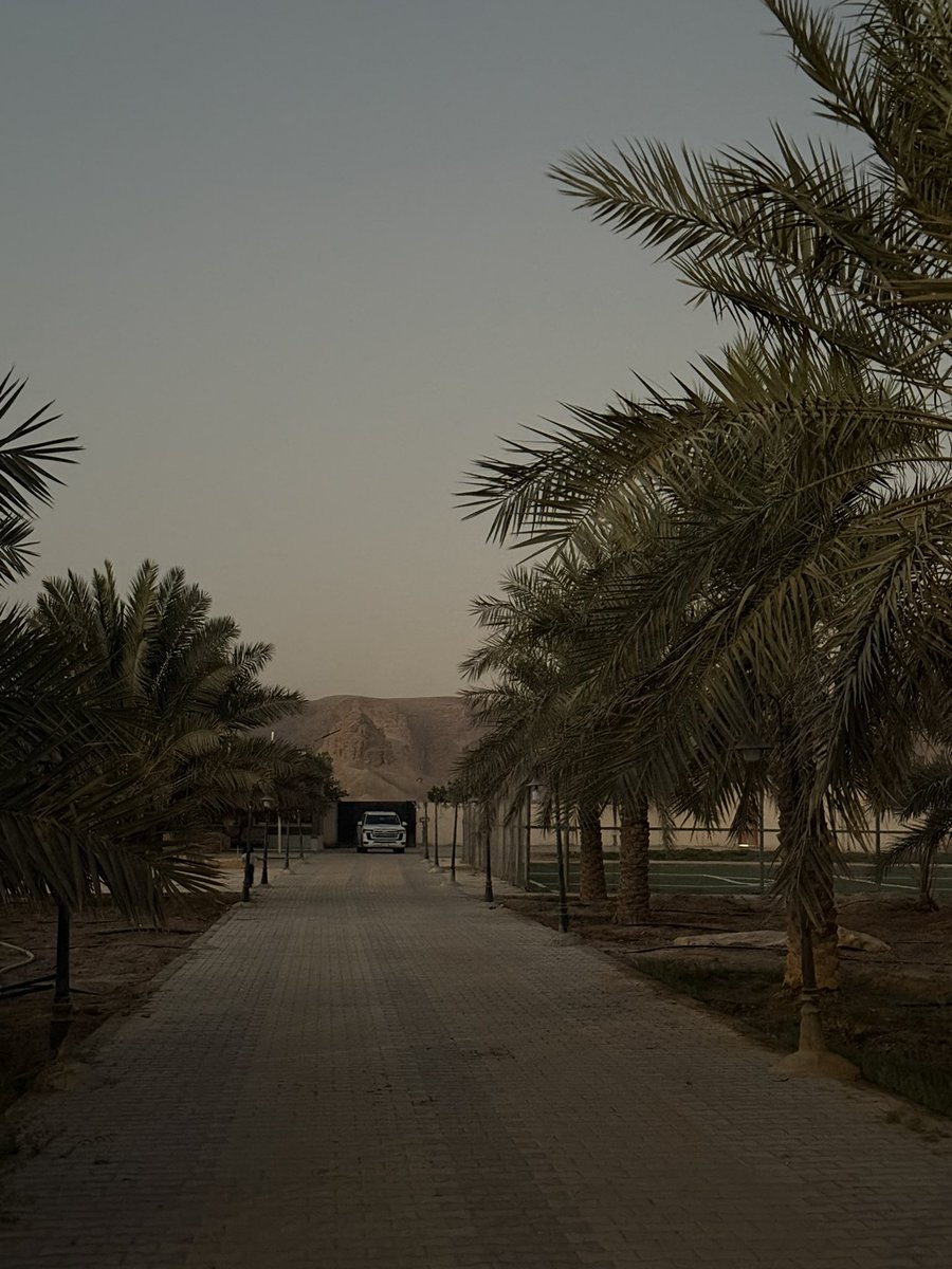 ريداء زهير tweet media