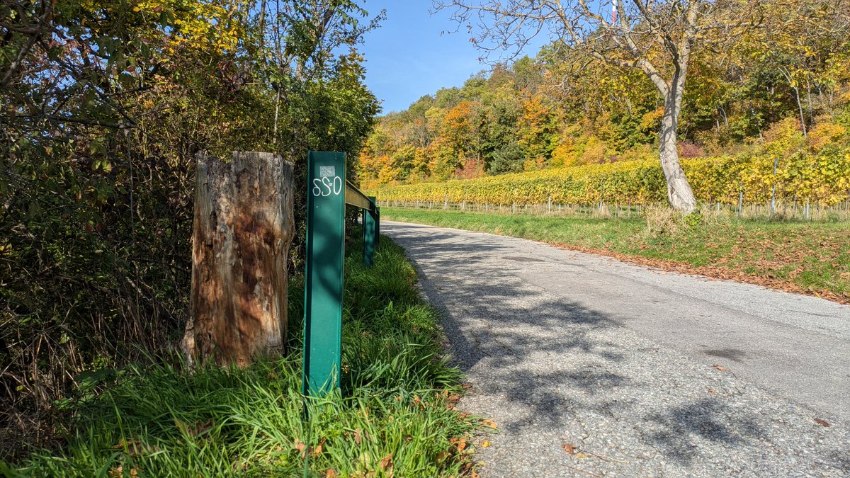 Ever been strolling through #Vienna, pondering #Physics? Don’t worry, #StreetArt  got you covered: you’ll quickly learn that the action is minimal on a stable trajectory. #LeastAction