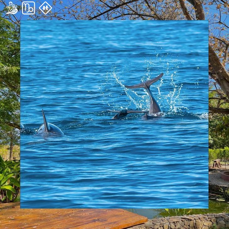 SwiftCodin21734's tweet image. 今晚 dd 有空吗
济南🍈