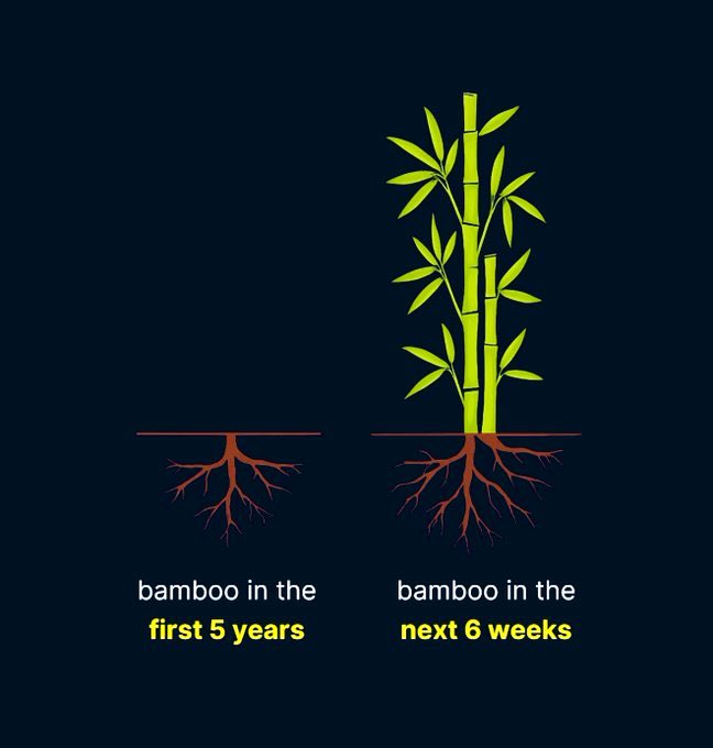 The Indian Investor tweet media