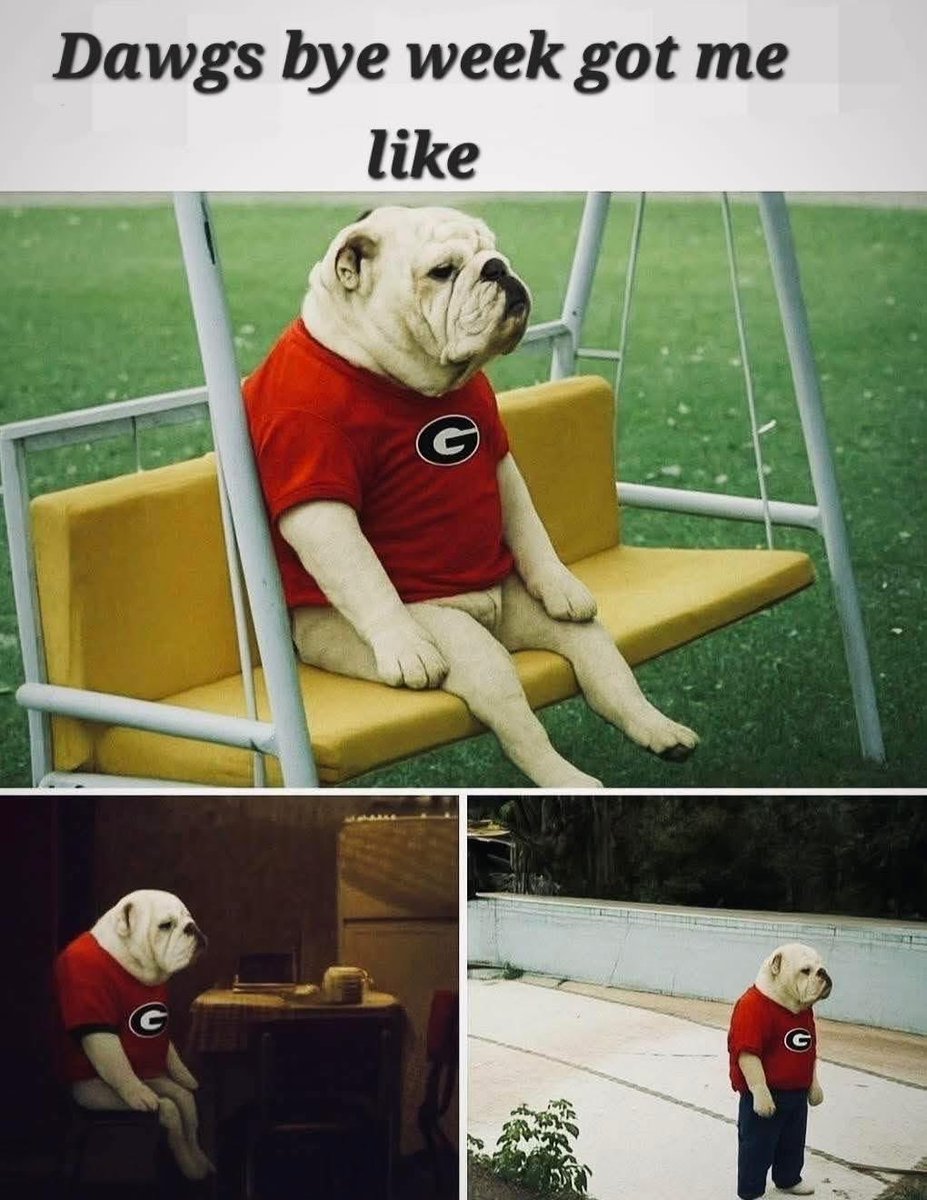 ChristySeguin's tweet image. 