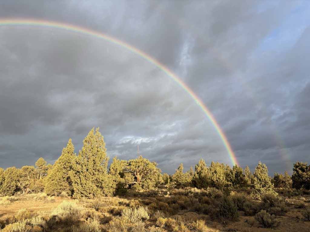 It is both sunny and raining for my morning dog walk. 😮