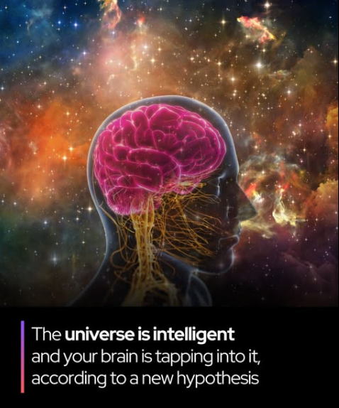 Rainmaker1973's tweet image. Your brain might be tuning into intelligence – not generating it. 
Biophysicist Douglas Youvan believes intelligence isn’t something the brain creates, but something it connects to. His hypothesis is that intelligence is a fundamental, non-local property of the universe –…